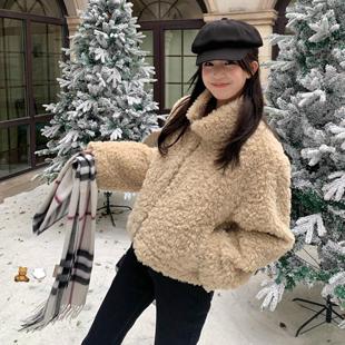 一只西由XIYO泰迪绒立领皮毛一体韩系2024冬季新款毛毛短外套女