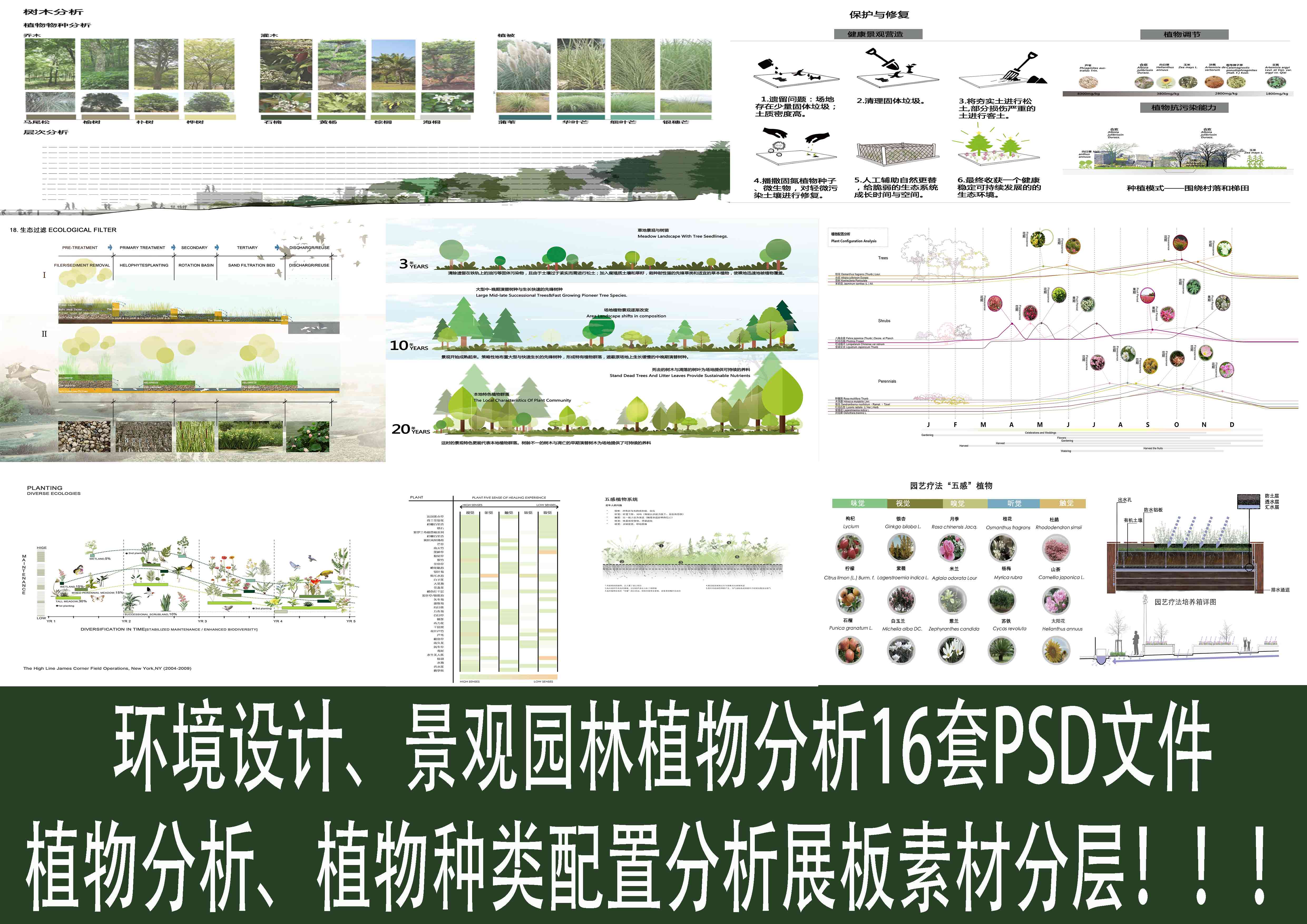 psd源文件景观环境设计植物分析图16套植物分析植物种类配置分析