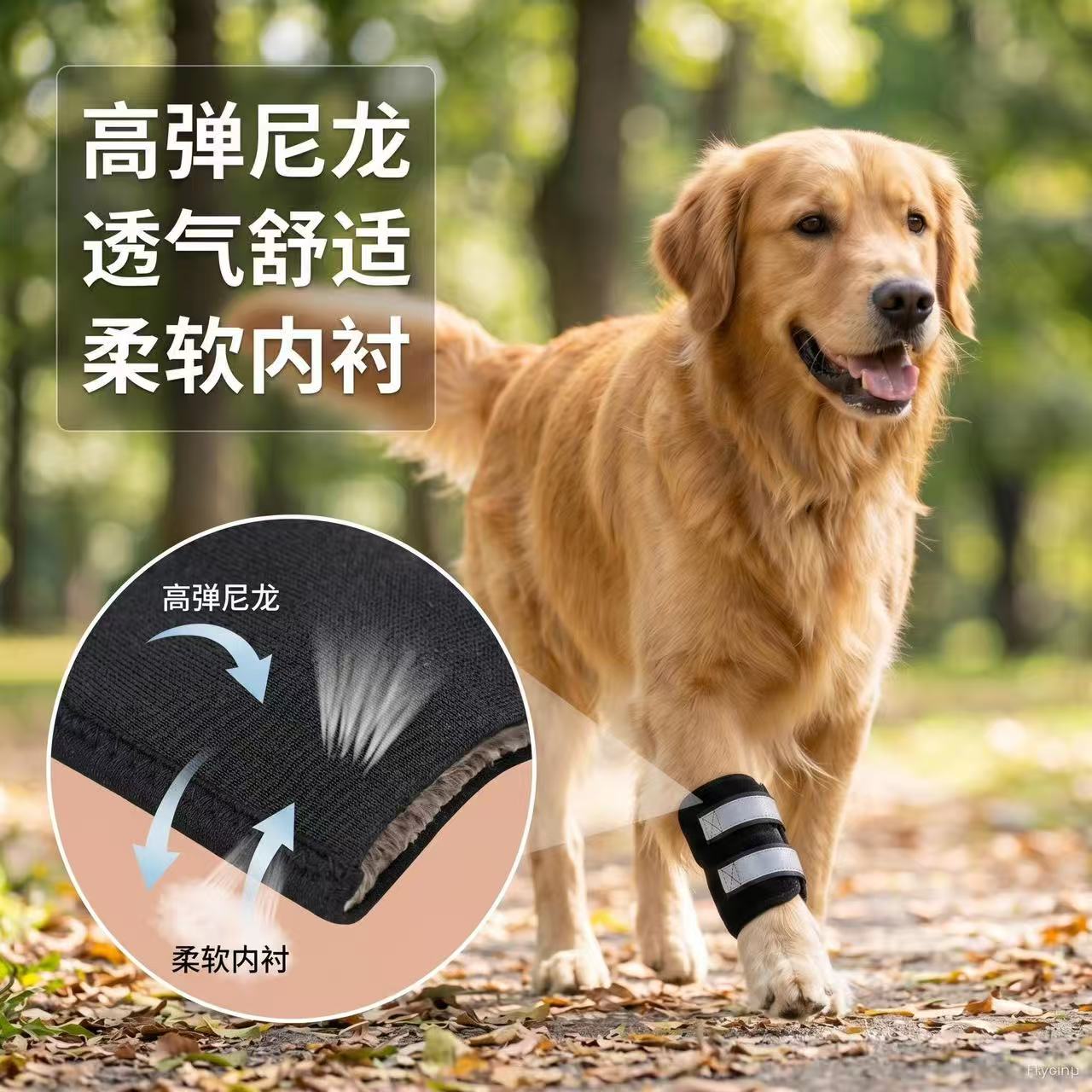 狗狗髌骨关节护膝韧带康复