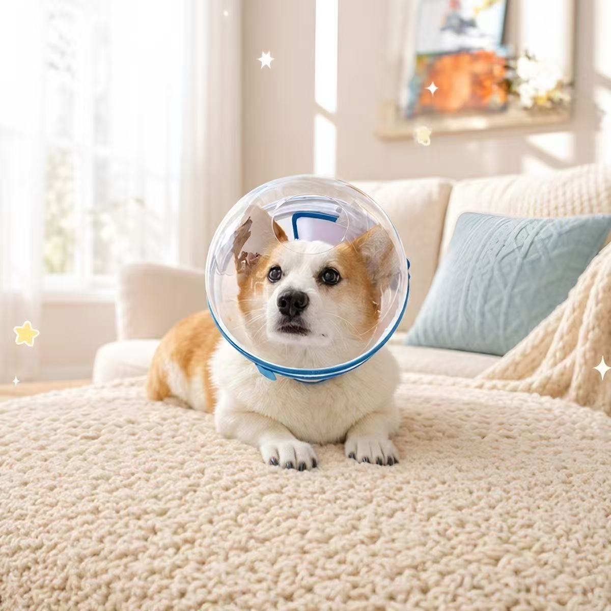 狗狗太空头套嘴套防舔防咬防乱吃