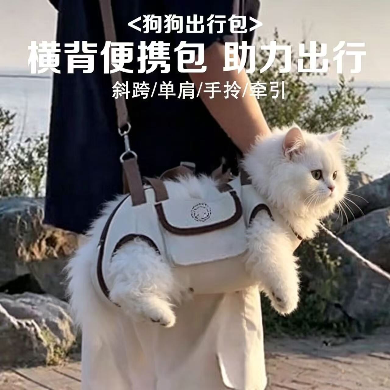 猫狗斜挎包便携透气出行