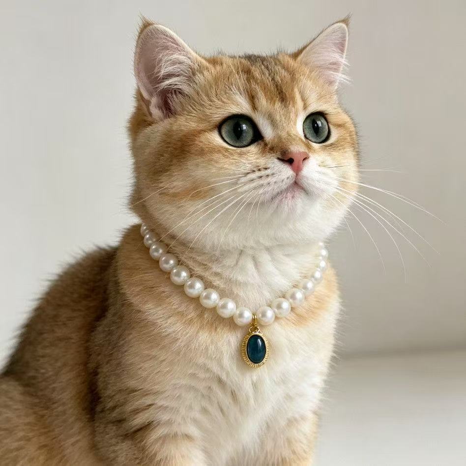 宠物猫彩色珠光珍珠项圈颈链