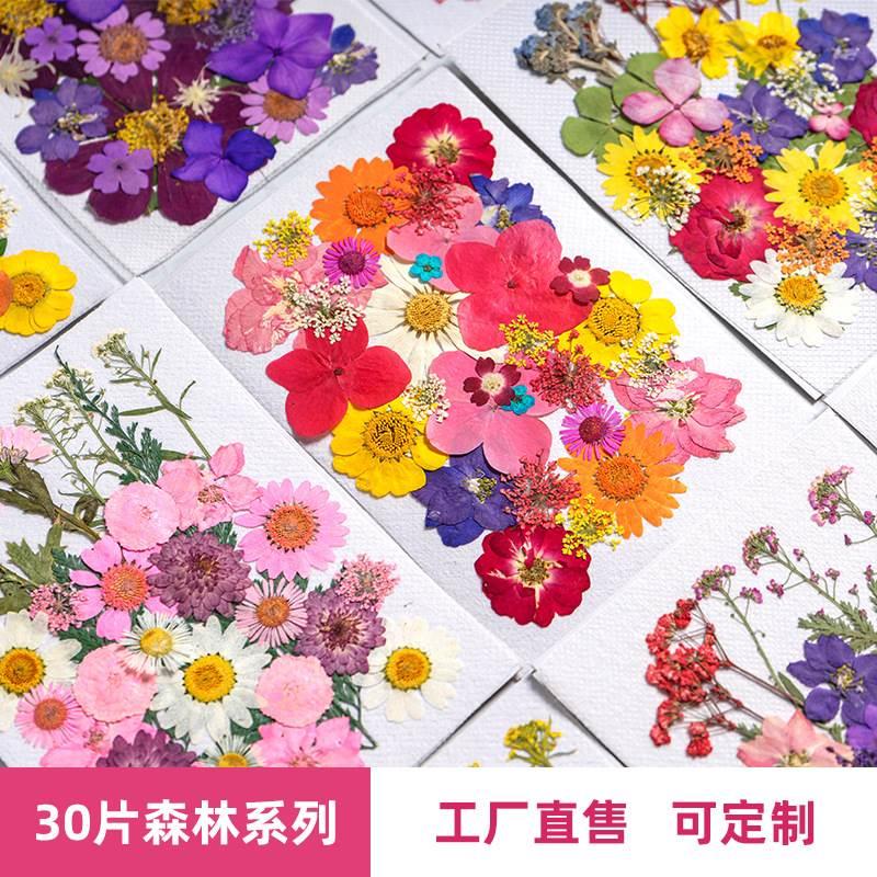 树叶植物标本幼儿园手工贴画DIY干花压花贴脸装饰花妆写真押花图片