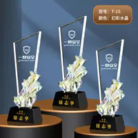 Почетные награды T15