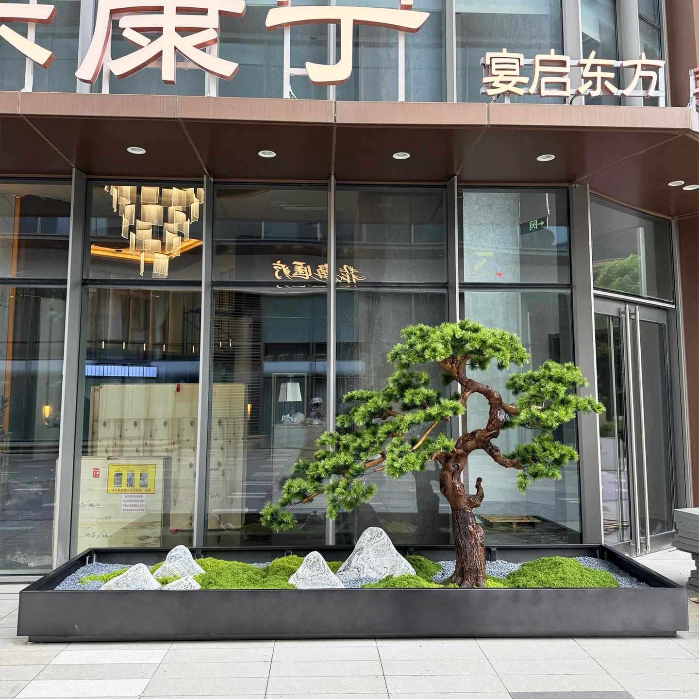 高端会所景观装饰大型落地黑松