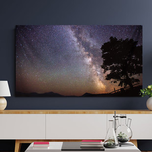 轻奢55寸65寸86寸电视机罩防尘罩套液晶电视罩防尘盖布家电保护罩