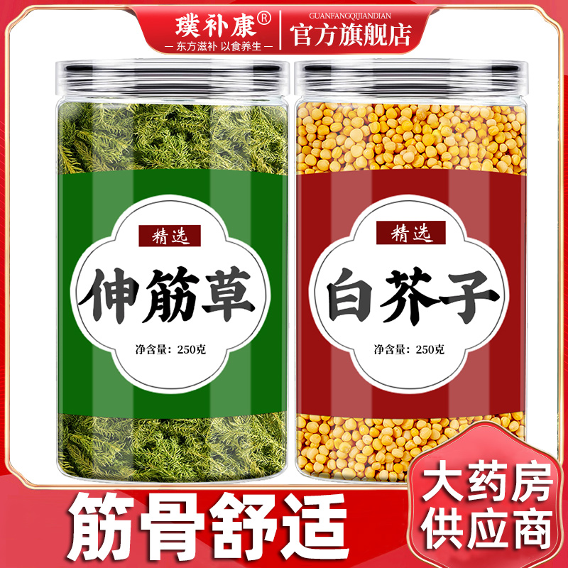 伸筋草白芥子组合茶腰腿舒适