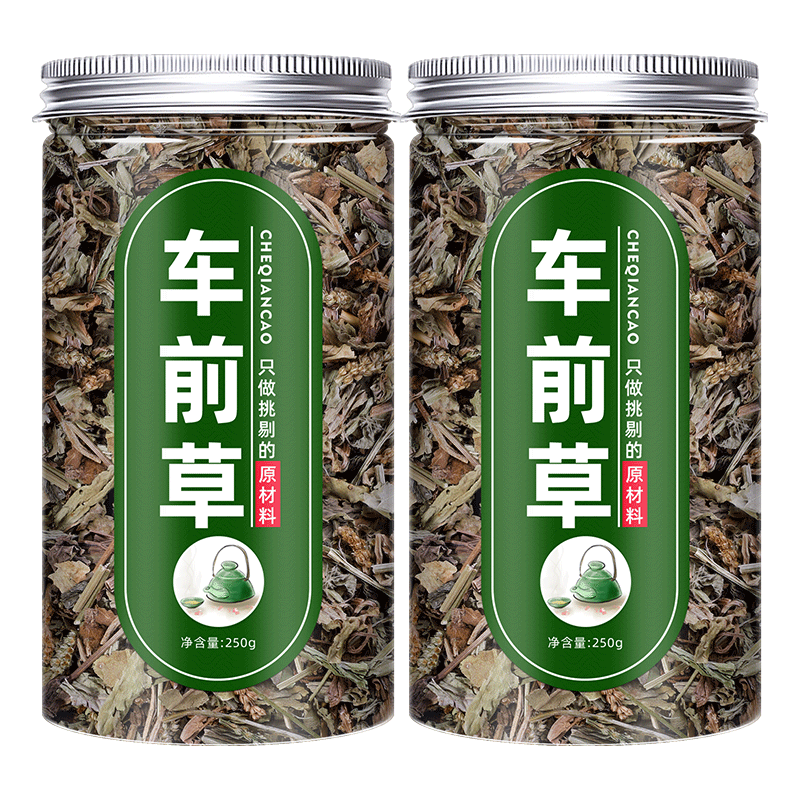 车前草的功效与作用泡水干货新鲜中药材猪耳朵草带根车钱草袋泡茶
