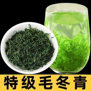 毛冬青的功效非特级特产云南野生茶嫩芽绿水青山茶叶毛东清青干货