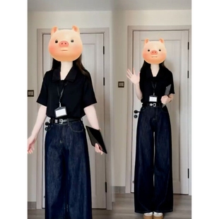 黑色v领短袖 女夏季 2025新款 衬衫 宽松显瘦上衣 薄款 正肩衬衣女法式