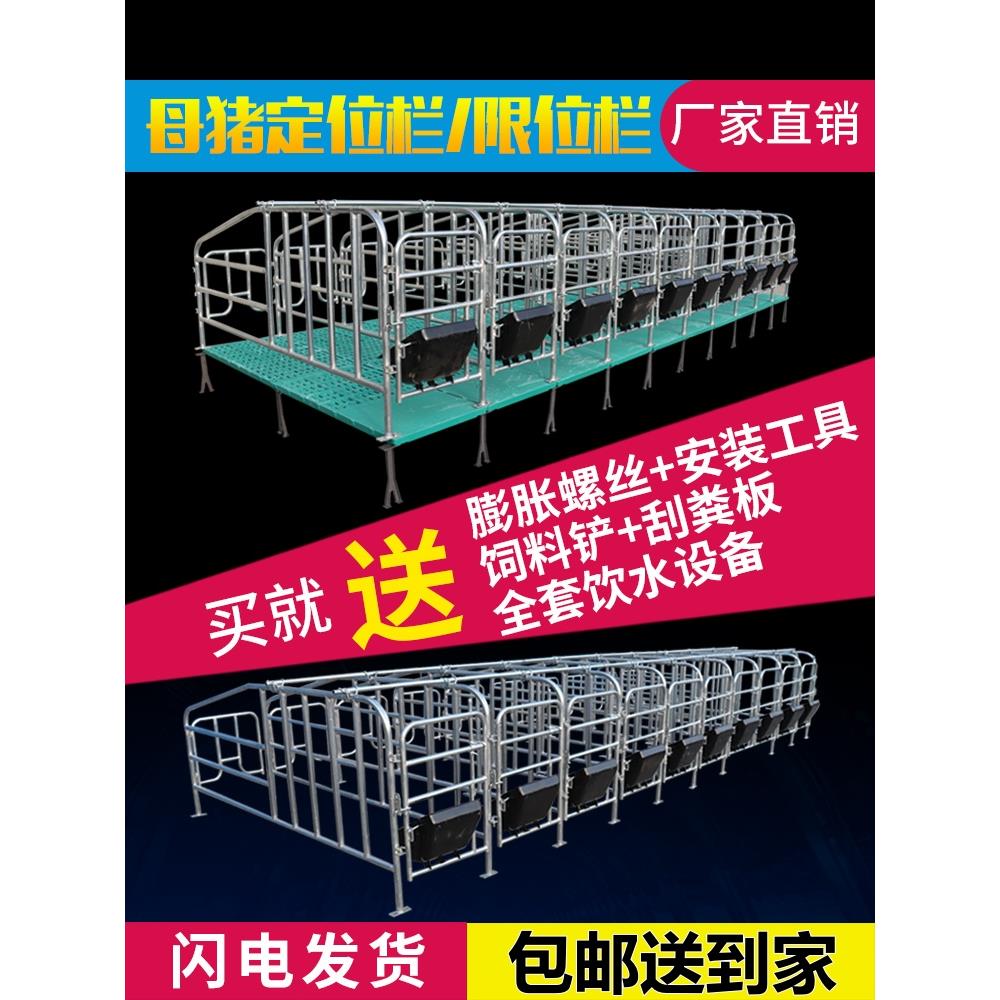 母猪定位栏猪用半限位栏养猪场设备落地定位定制围栏杆猪圈漏粪板