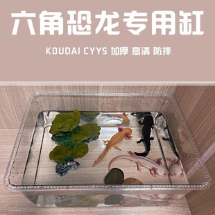 六角恐龙鱼的鱼缸蝾螈宠物专用饲养箱生态亚克力透明乌龟缸小螃蟹