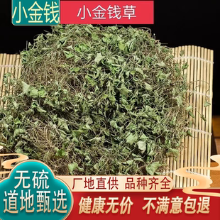 正品小叶金钱草 金锁匙 小马蹄金 500g包邮溶石草泡水非大金钱草