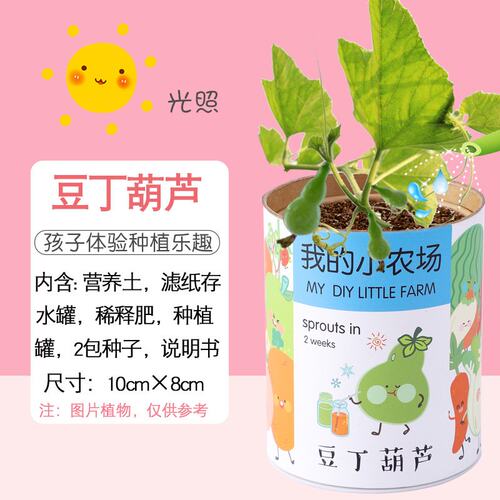 开心农场果蔬小盆栽儿童diy植物草莓宝宝种植草娃娃礼物植树V816