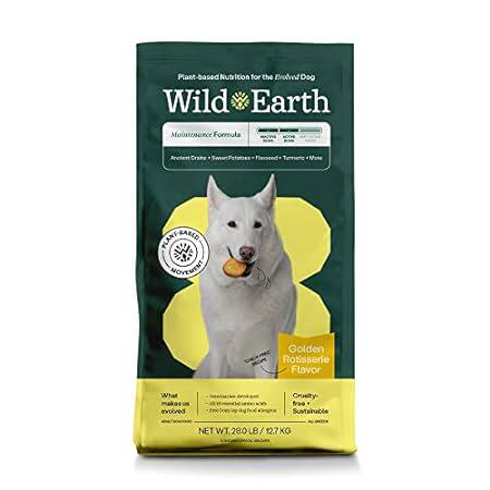 Wild Earth Vegan Dry Dog Food | Plant-Based Maintenance F