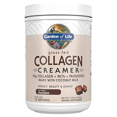 Garden of Life Grass Fed Collagen Creamer Powder - Chocol