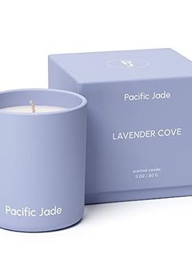 Hand Poured 100% Natural Soy Candle 11oz - Luxury Fragran