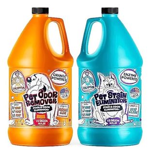 and Odor Remover Calyptus Enzyme Stain Orange Pet