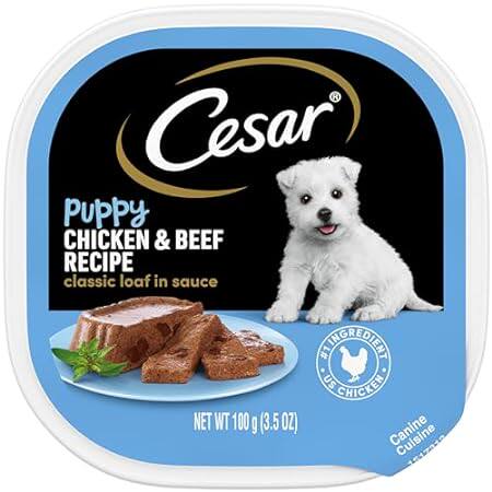 CESAR Puppy Soft Wet Dog Food Classic Loaf in sauce Chick