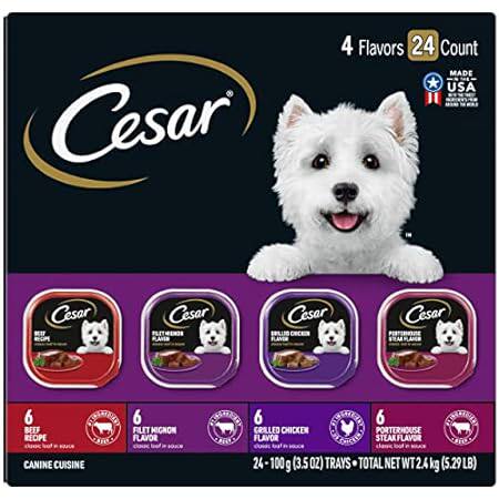 CESAR Adult Wet Dog Food Classic Loaf in Sauce Beef Recip