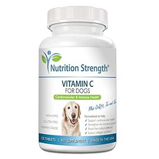 Vitamin C for Dogs to Support Cardiovascular Health， Help