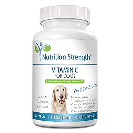 Vitamin C for Dogs to Support Cardiovascular Health， Help