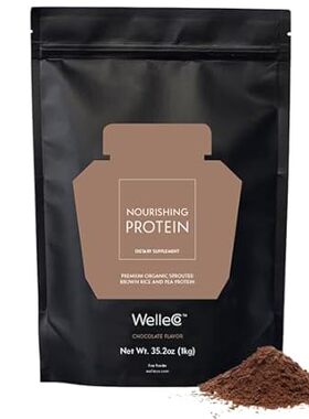 WelleCo Vegan Protein Powder， Gluten Free Premium Organic
