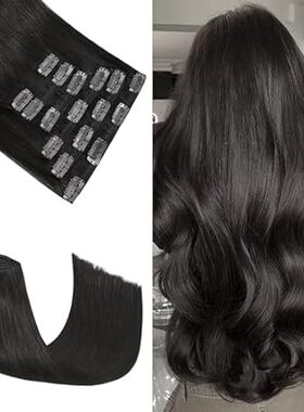 Honsoo Brown Remy Hair Extensions Clip in Human Hair 12in