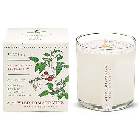 KOBO Wild Tomato Vine Candle with Plantable Box (9 oz) |