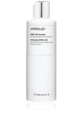 ARROJO AP100