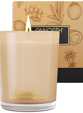 96NORTH | Pure Coconut Candle | 100% Natural Soy Wax | Ja
