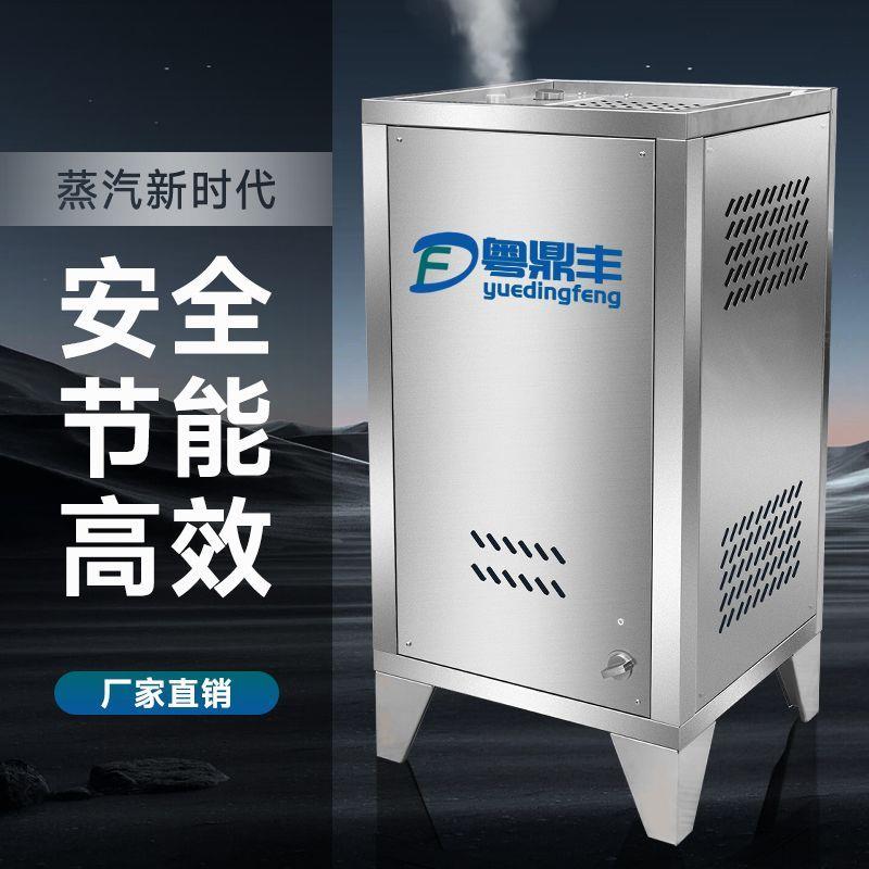 商用天然气蒸汽发生器液化气自动节能蒸汽机豆腐酿酒馒头燃气锅炉