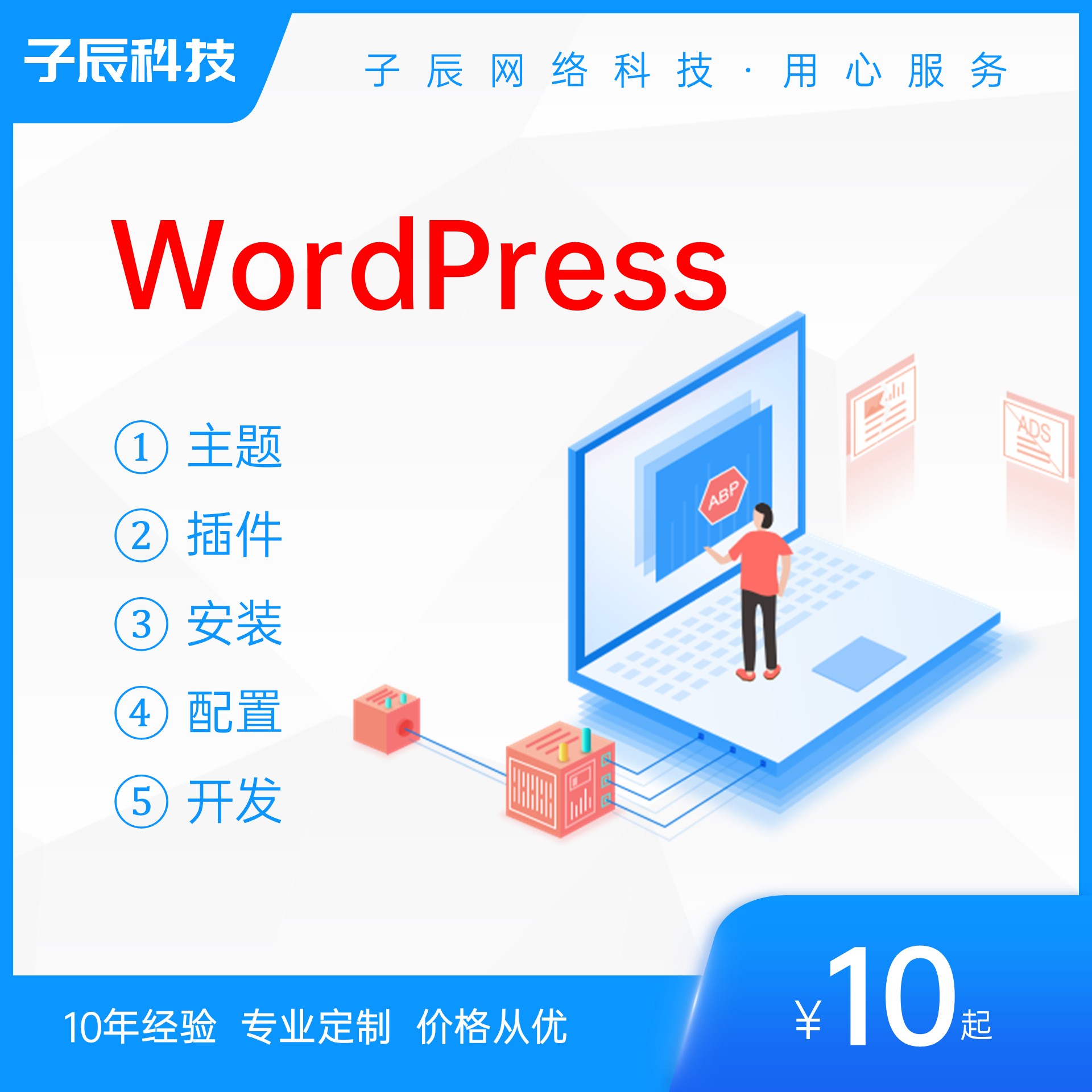 WP插件功能开发定制主题