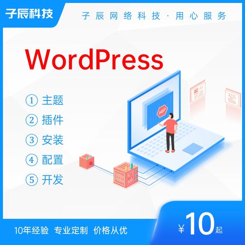 WP插件功能开发定制主题