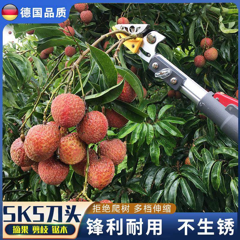 德国精工摘水果神器伸缩杆头高空采摘荔枝枇杷龙眼树上高枝剪果子