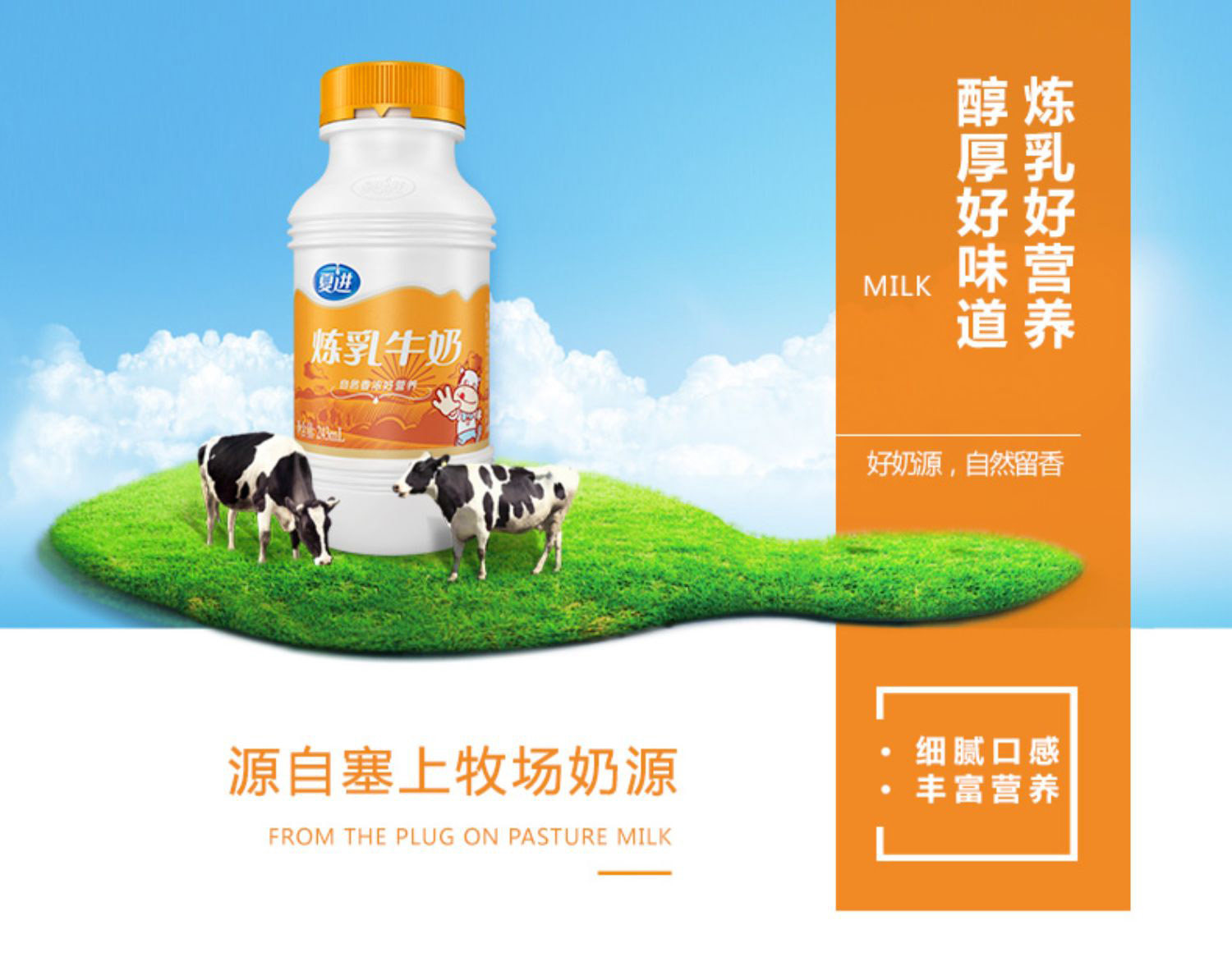 【炼乳味】夏进整箱瓶装炼乳牛奶243ml箱*15瓶营养早餐牛奶美味