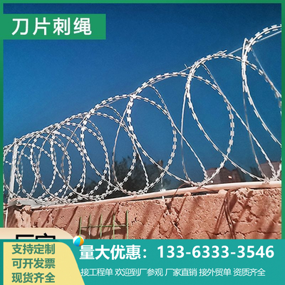 刀片刺绳防盗户外笼刺网防盗网防爬刺铁丝网晾衣绳带刺铁丝
