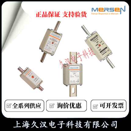 罗兰熔断器DN000GB69V100V/Q330110  DN000GB69V125V/R330111