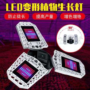 跨境热销植物灯led红蓝光谱折叠种植灯216珠240珠297珠植物生长灯