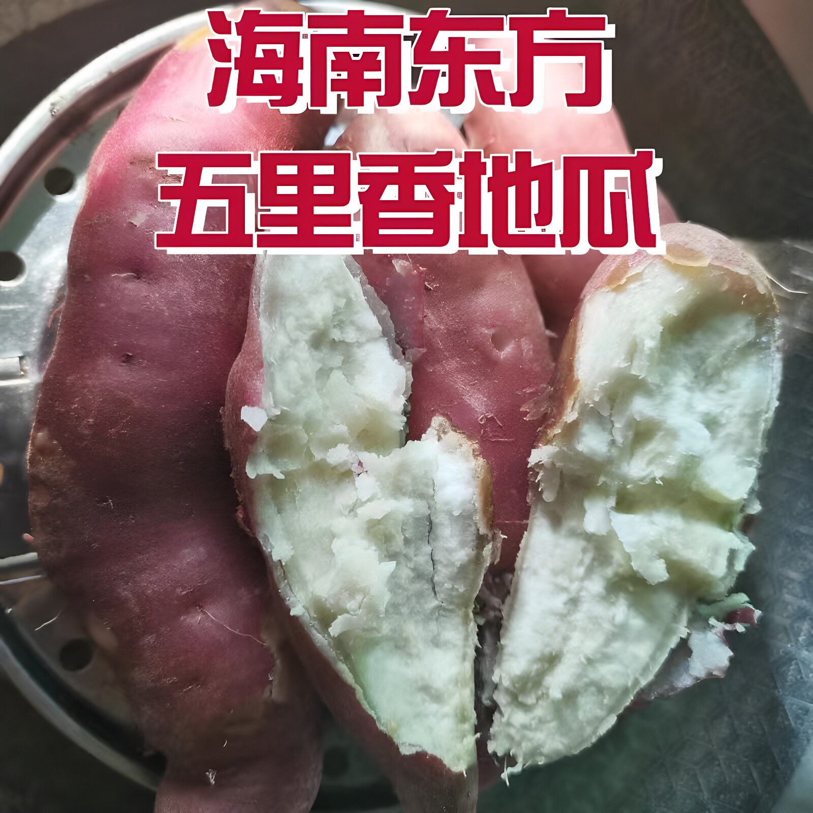 海南五里香地瓜三角宁白心番薯
