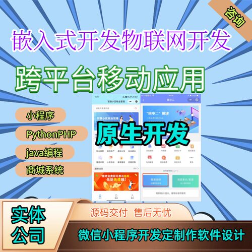 APP开发定制同城交友教育培训海外商城物联网软件制作小程序开发