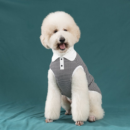 ins狗狗衣服大型犬Polo衫春夏薄