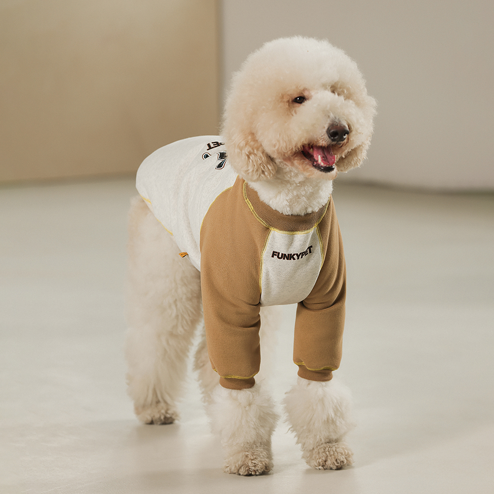 美式复古狗狗衣服秋冬款