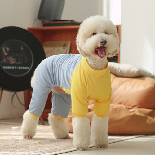 撞色冰丝狗狗衣服大型犬四脚衣夏