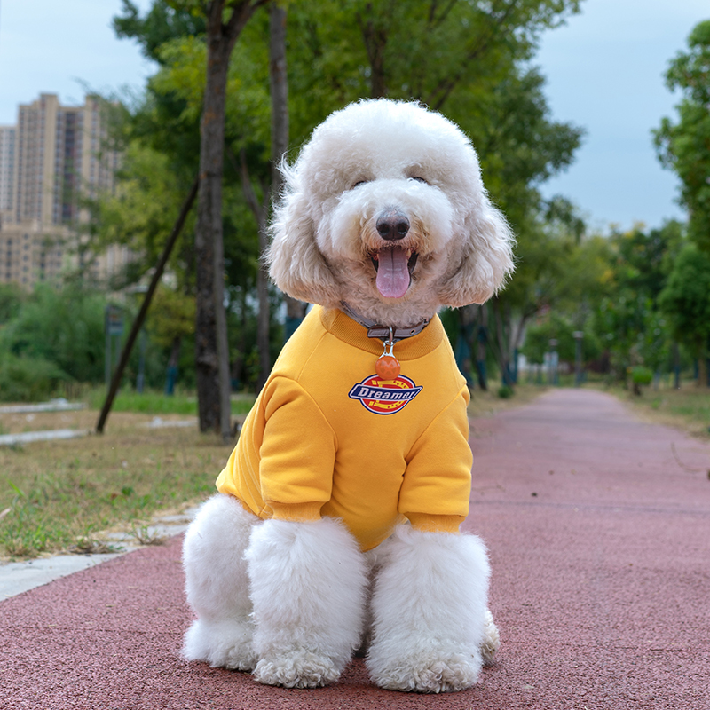 潮牌大型犬衣服秋冬网红金毛边牧杜宾拉布拉多巨贵犬宠物狗狗衣服 宠物/宠物食品及用品 狗宠物服装/雨衣 原图主图