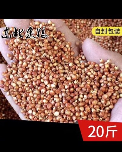 20斤去壳带皮酿酒喂鸽子红高粱