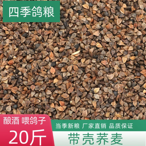 20斤带壳荞麦原粮酿酒原粮赛鸽信鸽观赏鸽仓鼠粮鹦鹉鸟食专用粮