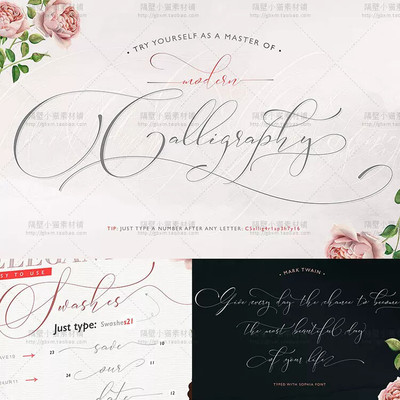 PS飘逸手写英文花体字体 LOGO制作婚礼海报设计字体素材 [FT234]