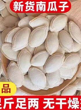 正宗内蒙新货生南瓜子大颗粒饱满南瓜籽仁无添加纯晾晒日照净重发