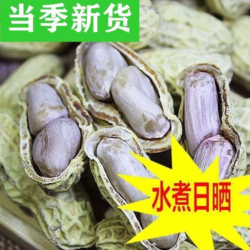 正宗龙岩花生带壳水煮白晒咸干蒜香五香湿烤盐水炒货小零食熟批发